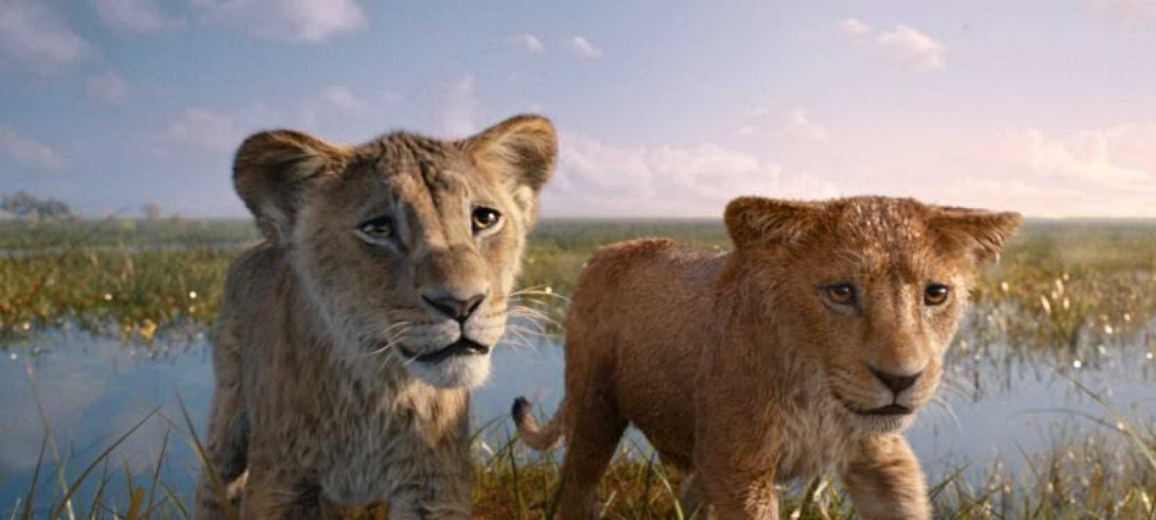 Mufasa: Lví král - 1 Mufasa: Lví král - 1
