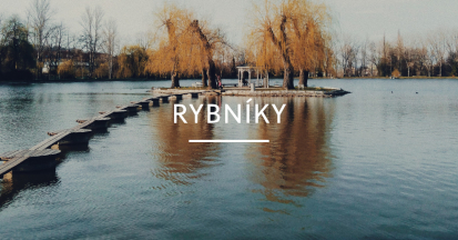 Export - web - rybniky